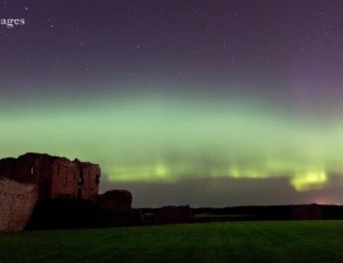 Night Skies and Northern Lights