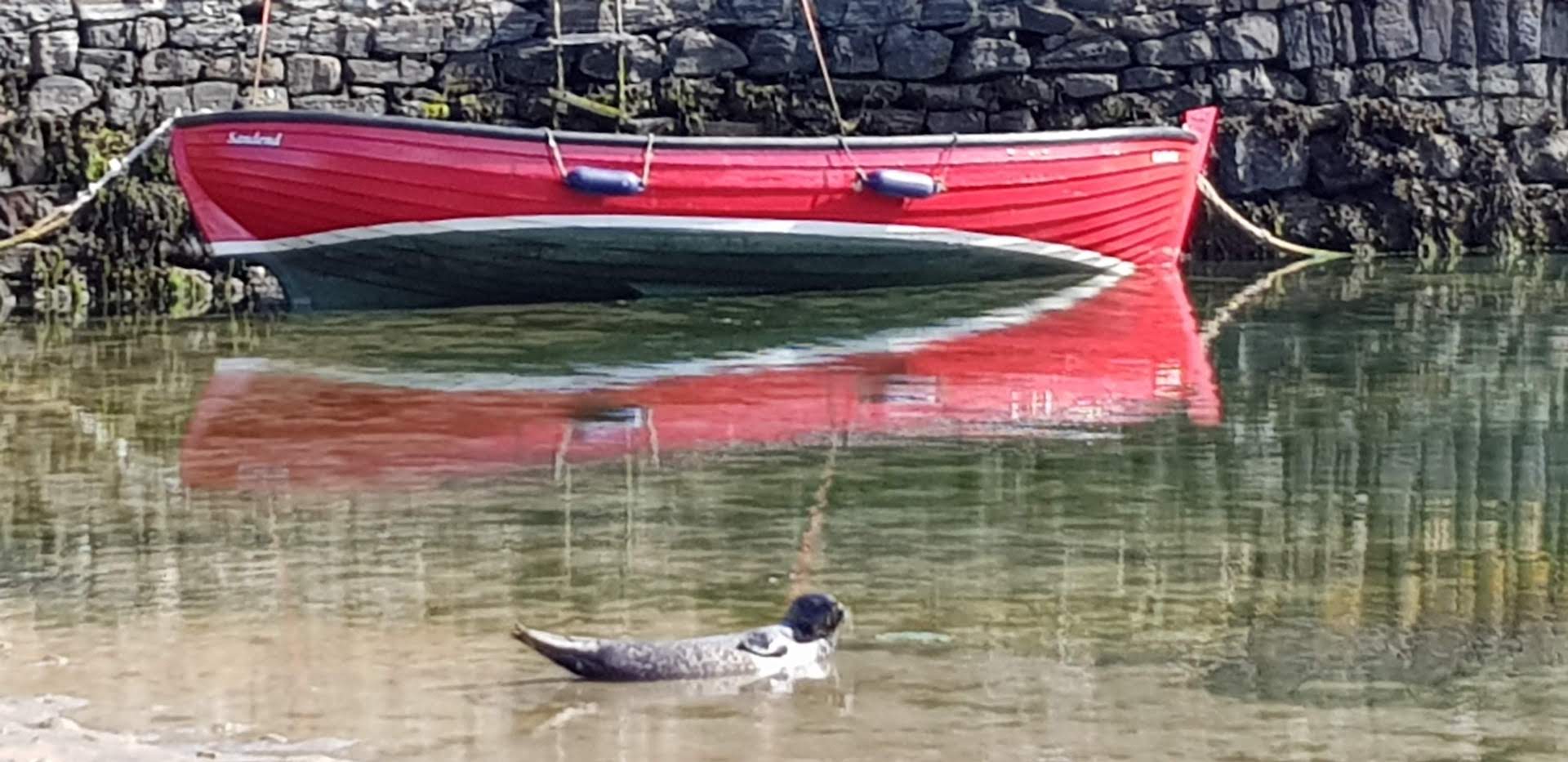 Driftwood Cottage Portsoy Moray Coast Cottages