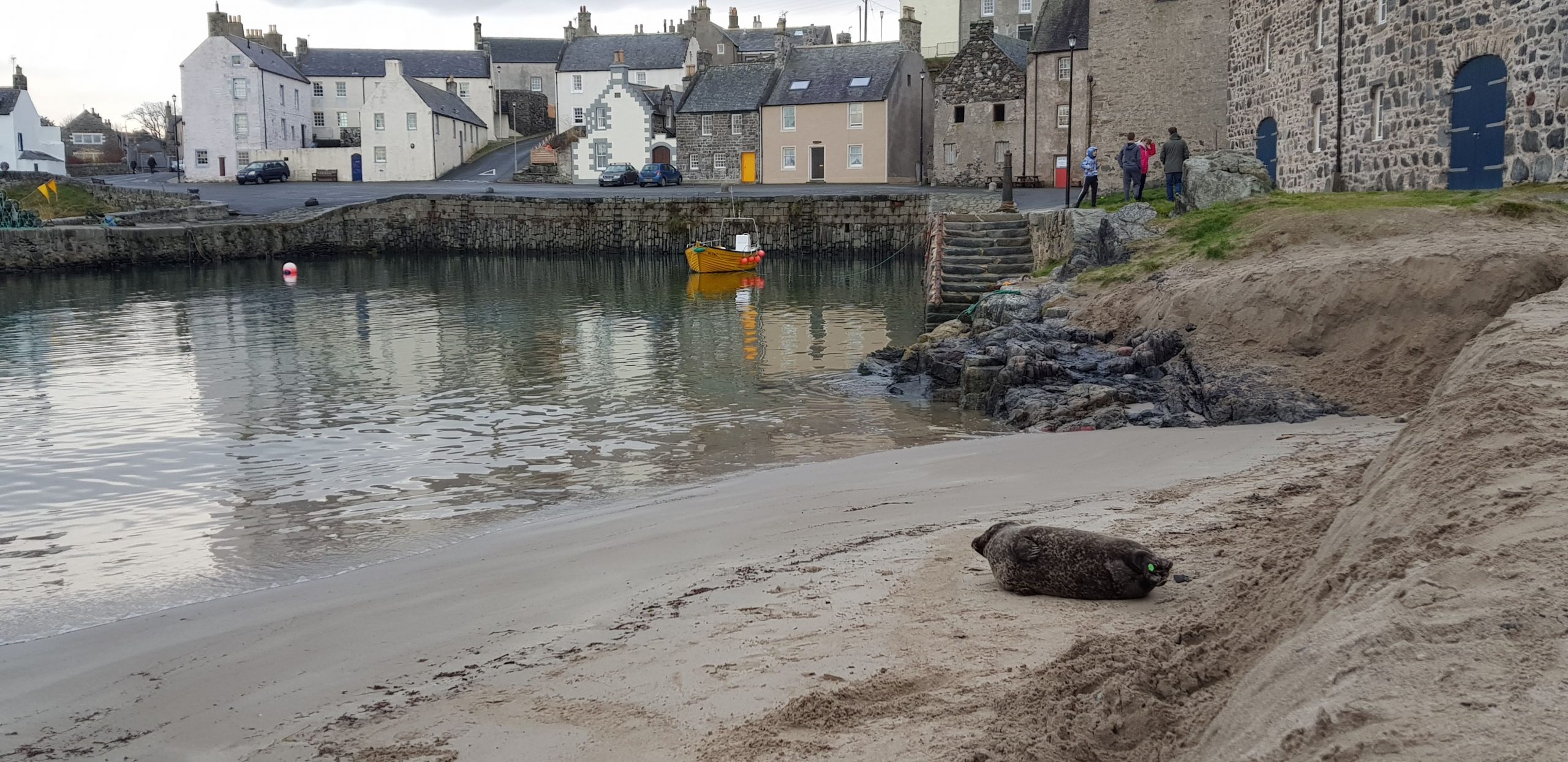 Six Harbour Walk set to return after two-year Covid break